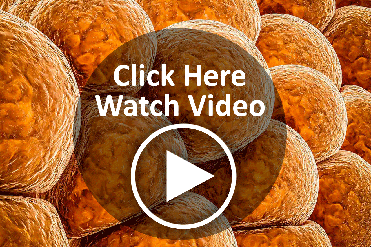 brown-fat-video brown-fat-video